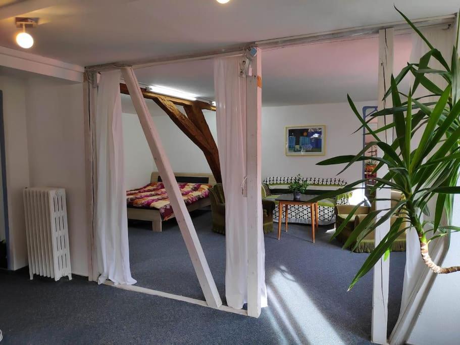 Grosse 130 M2 Gemuetliche Wohnung Im Herzen Tribergs Triberg im Schwarzwald Ngoại thất bức ảnh